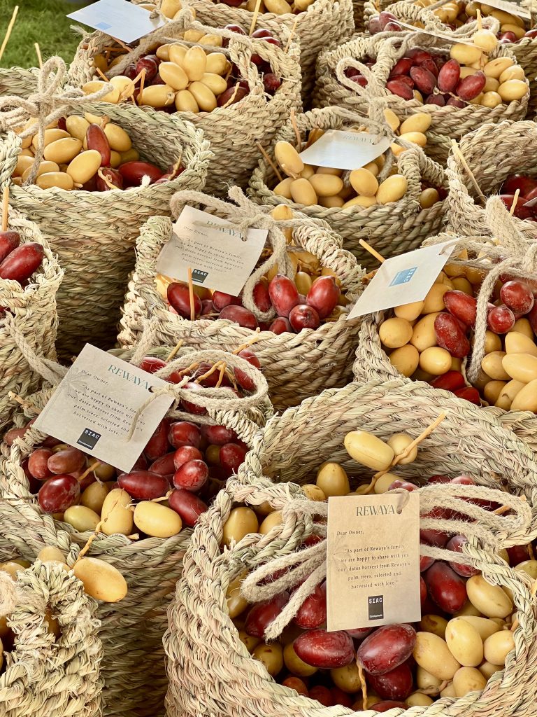 A Taste of Rewaya – Dates Harvest( September, 2025)